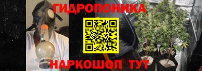 сатива Будённовск