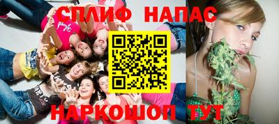 сатива Будённовск