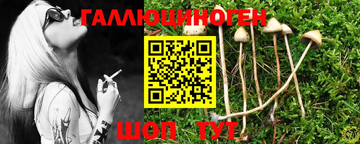 Галлюциногенные грибы Magic Shrooms  Вход с VPN  Мценск 